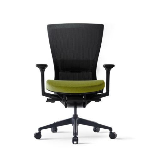 Ghế lưng trung RADE120-4MR