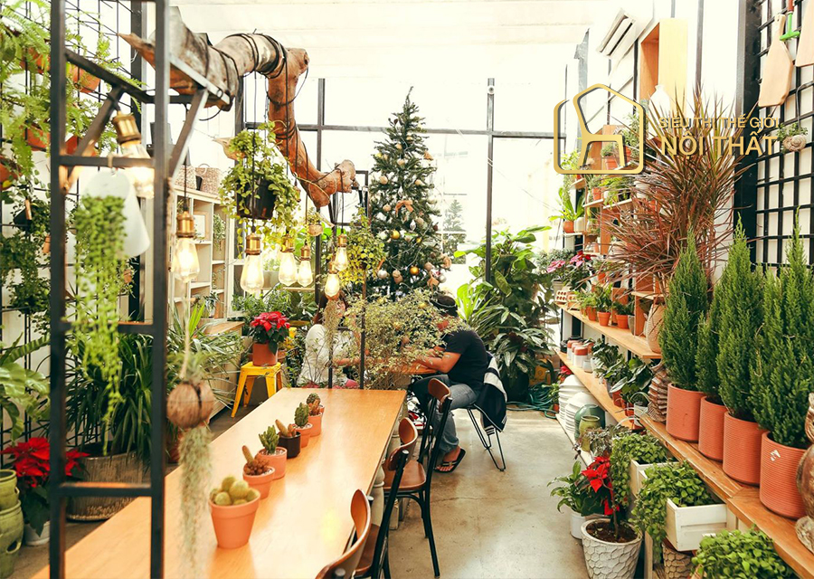 Mẫu thiết kế quán cafe phong cách Scandinavian đẹp hài hòa, hút mắt 20 Quán cafe phong cách Scandinavian hòa mình với thiên nhiên