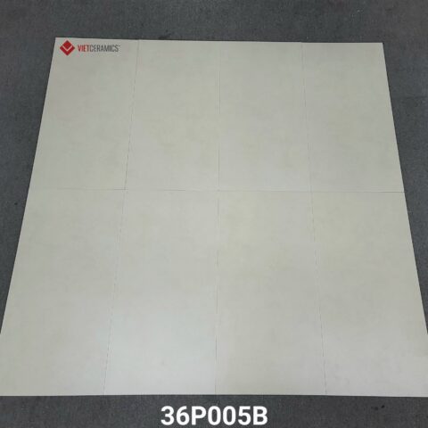 Gạch porcelain ốp lát TITAN