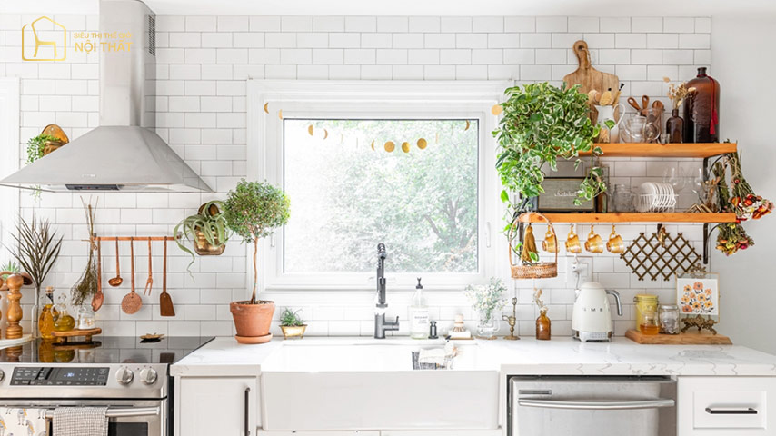 Quy mô và tỷ lệ không gian