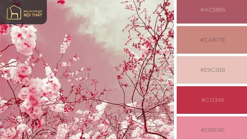 Màu hồng pastel rất phù hợp với các sản phẩm nữ tính Màu hồng pastel rất phù hợp với các sản phẩm nữ tính