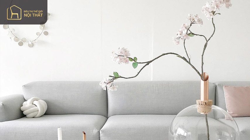 Các loại hoa tone pastel mang lại sự êm dịu cho không gian sống Các loại hoa tone pastel mang lại sự êm dịu cho không gian sống