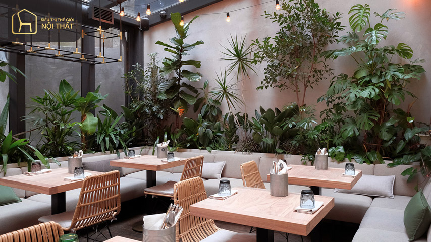 Top 6 ý tưởng thiết kế quán cafe cây xanh xu hướng 2023 5 Thu hút ánh nhìn với phong cách Châu Âu độc đáo
