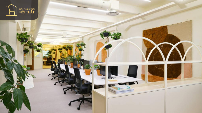 Sự kết hợp giữa đồ trang trí tự nhiên với màu trắng và cam giúp văn phòng thêm nổi bật