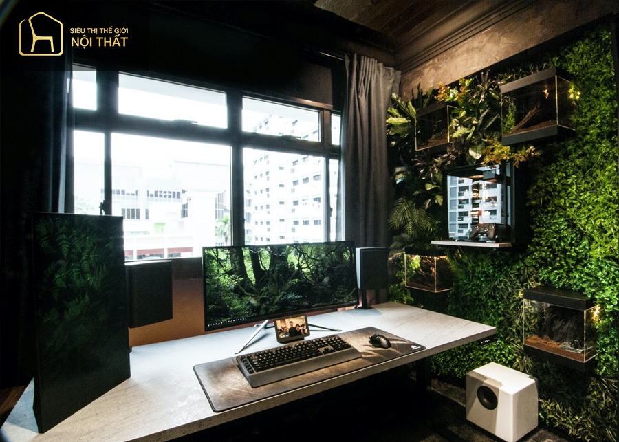 Chọn background với cây xanh đẹp mắt lan tỏa năng lượng tích cực Chọn background với cây xanh đẹp mắt lan tỏa năng lượng tích cực