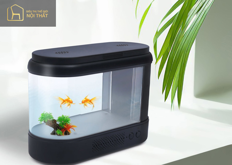 Bể cá mini là món đồ may mắn của người mệnh Thủy Bể cá mini là món đồ may mắn của người mệnh Thủy