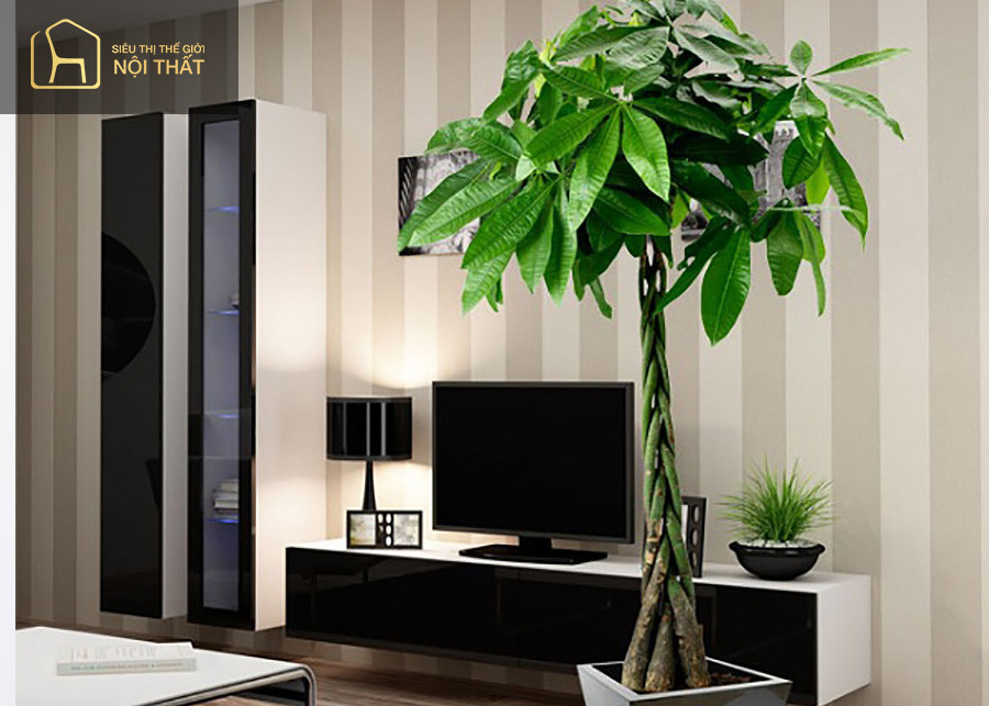 Cây kim ngân là đại diện cho sự kiên định Cây kim ngân là đại diện cho sự kiên định