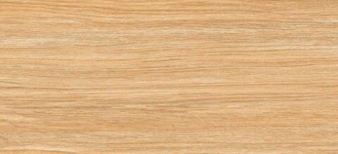 Gạch porcelain lát nền DCASTANEA