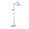 TBW01402BB Sen cây nhiệt độ (bát sen tròn)