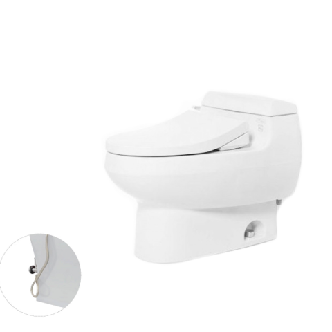 Bàn cầu một khối, nắp đóng êm kèm vòi rửa nước lạnh TCW1211A