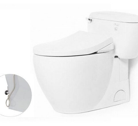 Bàn cầu một khối, nắp đóng êm kèm vòi rửa nước lạnh TCW1211A