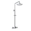 TBW01301AB Sen cây nóng lạnh kèm vòi xả bồn