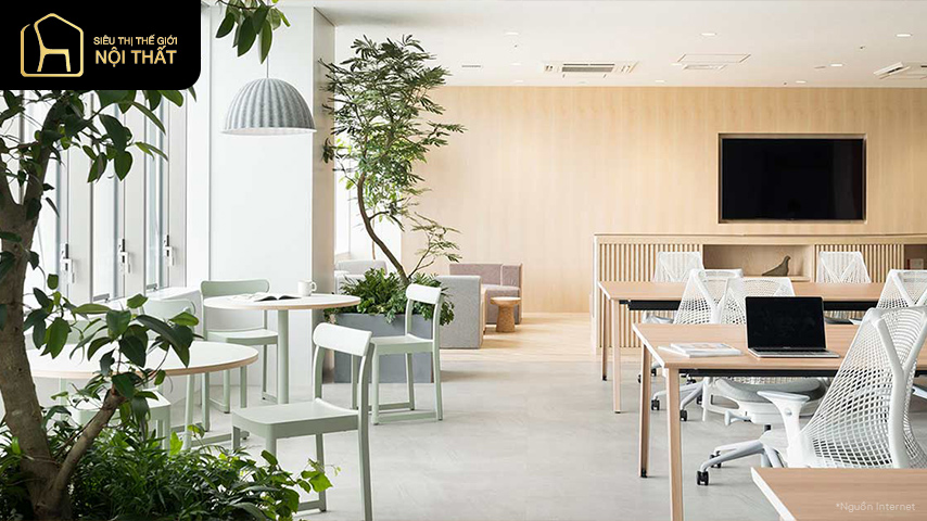 trang trí phòng làm việc bằng cây xanh trang trí phòng làm việc bằng cây xanh