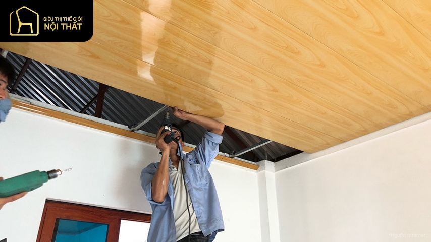Trần tôn xốp là gì? Phân loại và ứng dụng của nó trong đời sống 5 Trần tôn xốp là gì? Phân loại và ứng dụng của nó trong đời sống