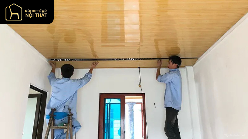 Trần tôn xốp là gì? Phân loại và ứng dụng của nó trong đời sống 6 Trần tôn xốp là gì? Phân loại và ứng dụng của nó trong đời sống