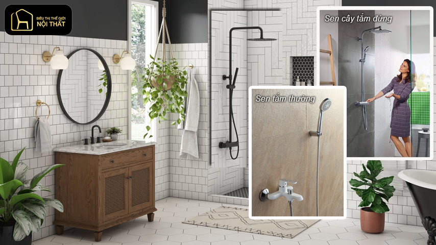 Nên mua sen cây tắm đứng hay sen thường