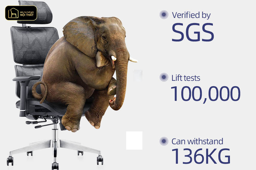 Tổ chức kiểm định ghế văn phòng độc lập đến từ Thụy Sĩ