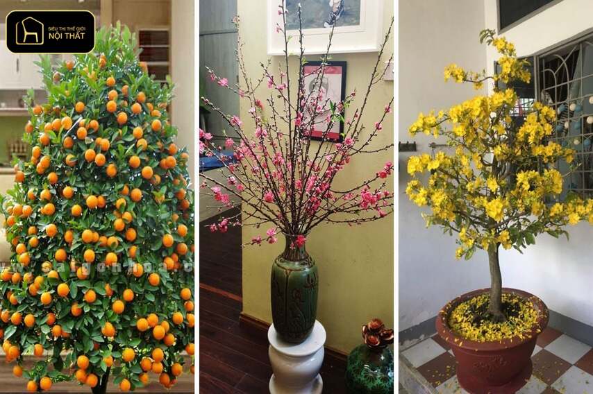 Trang trí cầu thang ngày Tết - Trang trí cầu thang ngày Tết với hoa mai, đào và cây quất giúp không gian rực rỡ