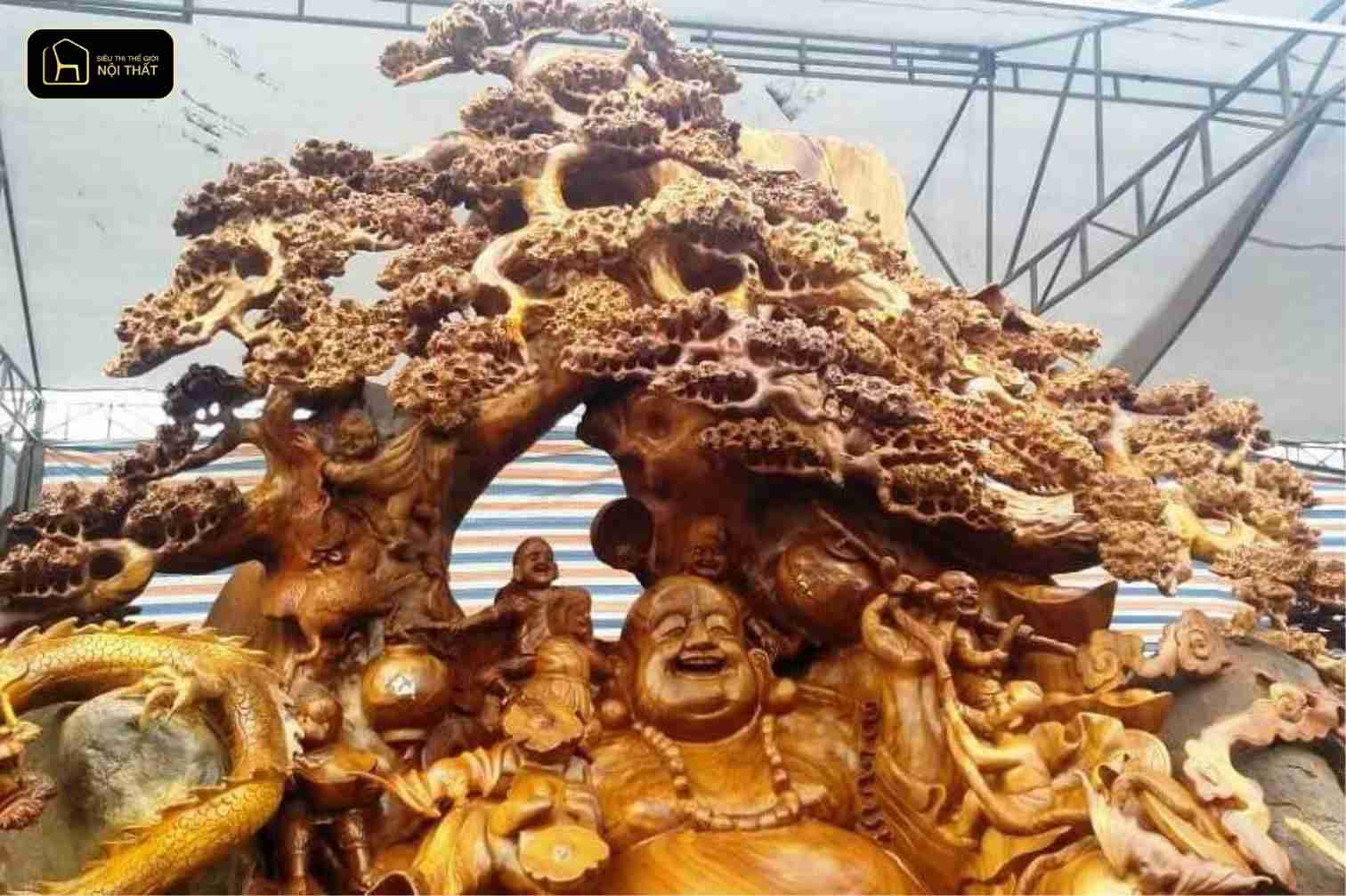 Gỗ xá xị - Gỗ xá xị có giá trị cao, vì vậy khâu bảo quản cần đặc biệt lưu ý