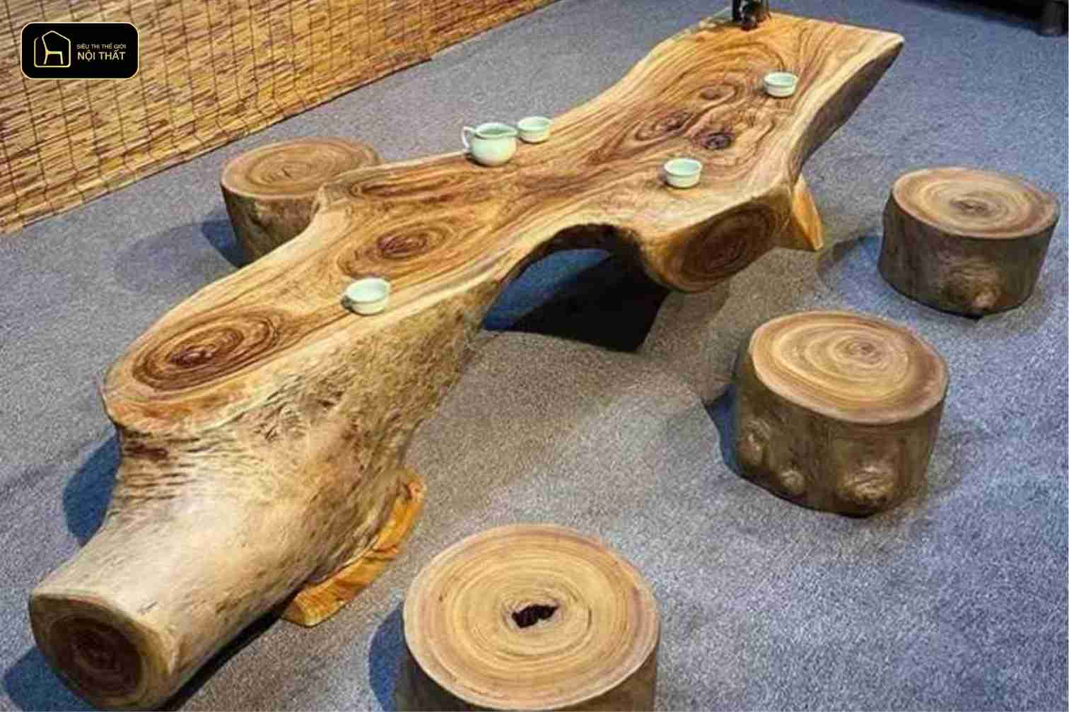 Vì là loại gỗ thuộc danh mục quý hiếm, việc khai thác gỗ xá xị bị kiểm soát rất nghiêm ngặt.