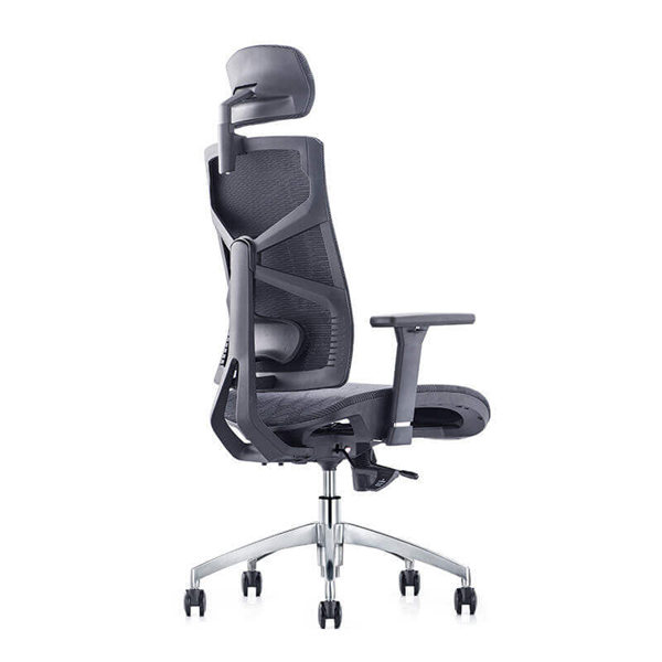 Ghế lưng trung Teamplay 78-HR - Ảnh 2