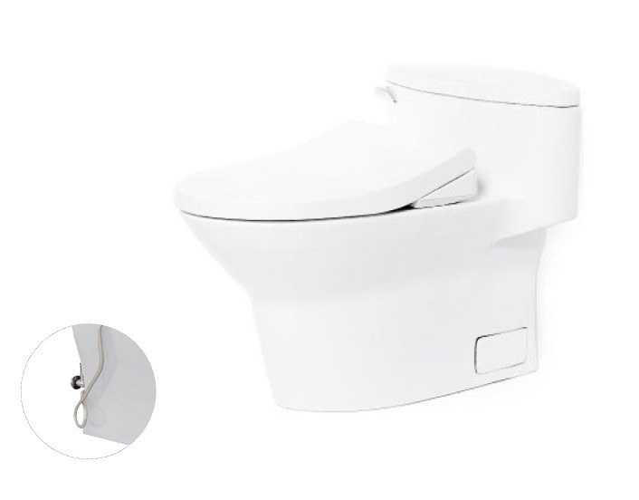 Bàn cầu một khối, nắp đóng êm kèm vòi rửa nước lạnh TCW1211A