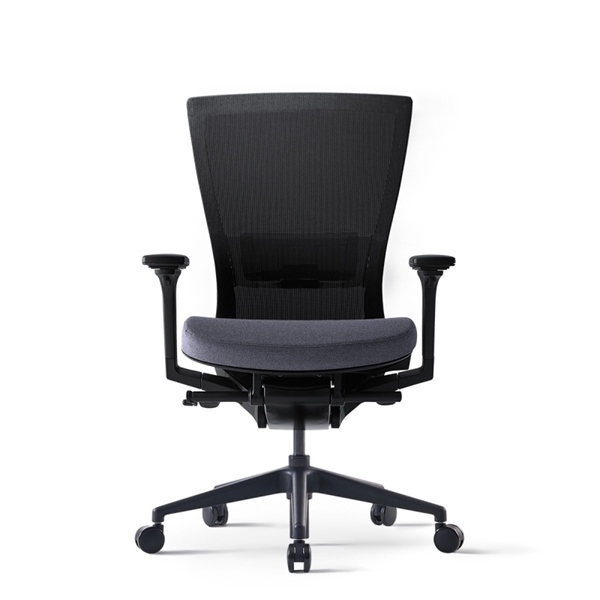 Ghế lưng trung S17G120-4MR S10G120-4MR - Ảnh 5