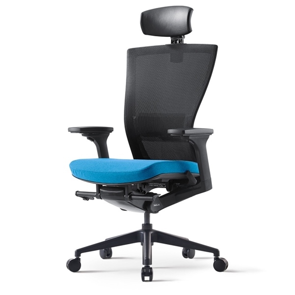 Ghế lưng cao RADG120-4HR - Ảnh 5