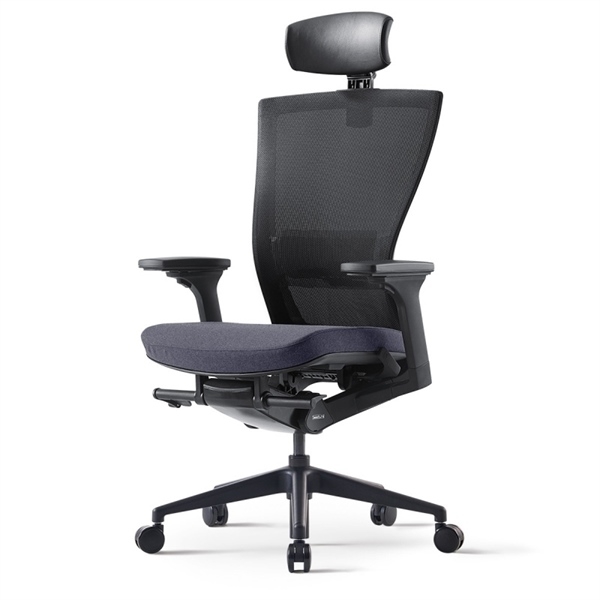 Ghế lưng cao RADG120-4HR - Ảnh 3